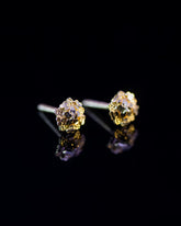22K Gold Flower Stud Earrings | Yellow Gold Textured Floral Studs NZ