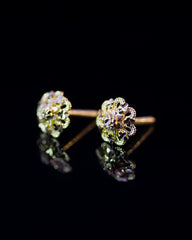 22K Gold Flower Stud Earrings | Traditional Yellow Gold Filigree Flower Studs NZ