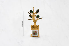 Medium Tulsi Pot Plant