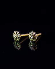 22K Gold Flower Stud Earrings | Dainty Yellow Gold Floral Studs NZ