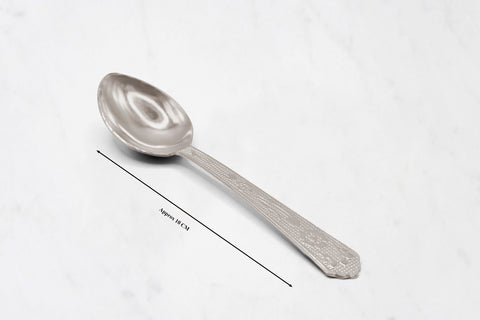 Large Silver Spoon
